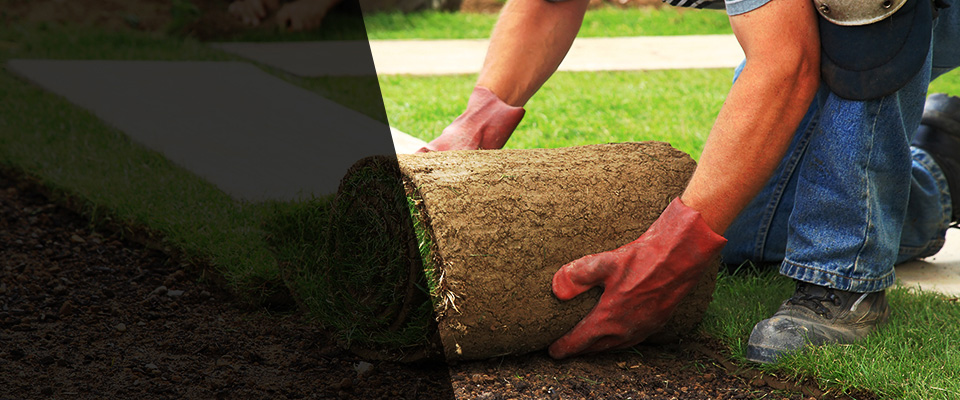 Knoxville Landscapers